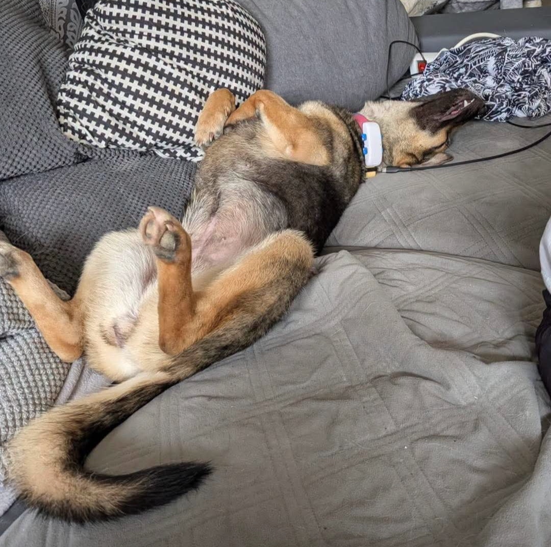 sasha2.jpg